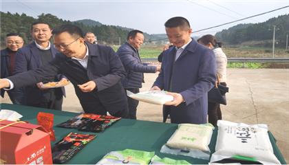 市委常委、政法委書記劉波濤帶隊(duì)調(diào)研指導(dǎo)定點(diǎn)幫扶村鄉(xiāng)村振興工作